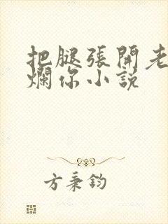 把腿张开老子臊烂你小说