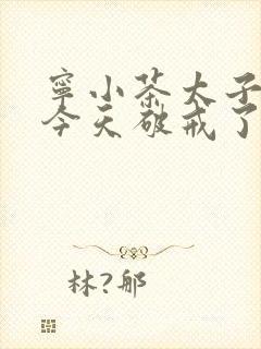 宁小茶太子殿下今天破戒了吗免费阅读