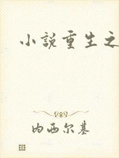 小说重生之官道