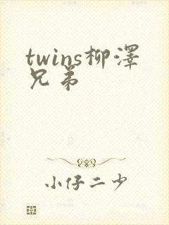 twins柳泽兄弟