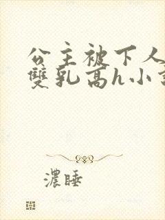 公主被下人玩弄双乳高h小说