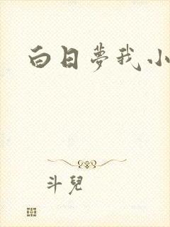白日梦我小说