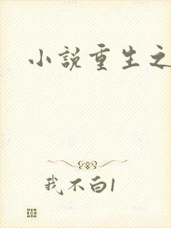 小说重生之官道