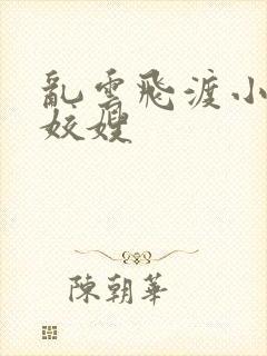 乱云飞渡小说之姣嫂封面