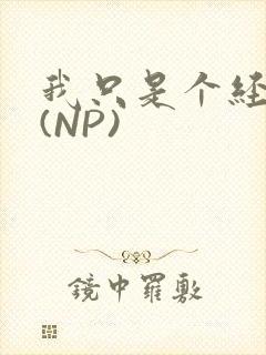 我只是个经纪人(NP)