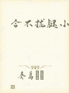 合不拢腿小说