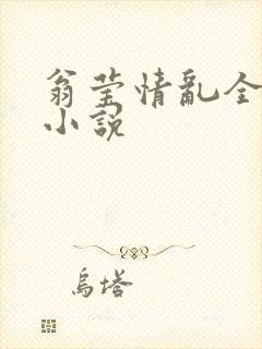 翁莹情乱全部篇小说封面