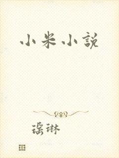 小米小说封面