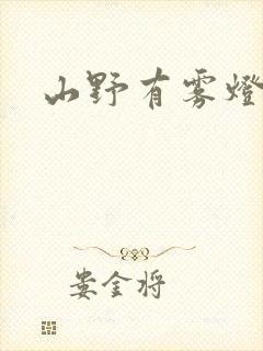 山野有雾灯封面