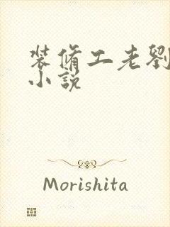 装修工老刘林雪小说封面