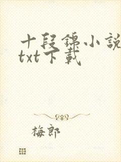 十段锦小说全本txt下载