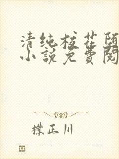 清纯校花堕落记小说免费阅读封面