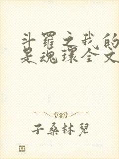 斗罗之我的武魂是魂环全文免费阅读