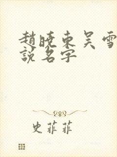 赵晓东吴雪晴小说名字