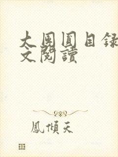 大团圆目录及全文阅读封面