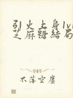 引火上身1v1芝麻糖结局封面