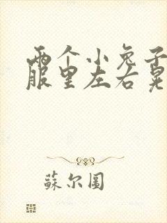 两个小兔子在衣服里左右晃封面