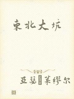东北大坑封面