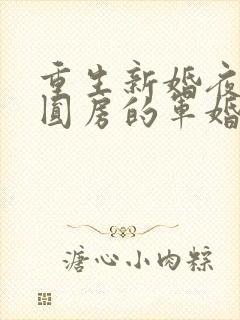 重生新婚夜正在圆房的军婚