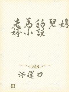 老马的儿媳顾婉婷小说