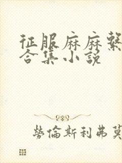 征服麻麻系列大合集小说