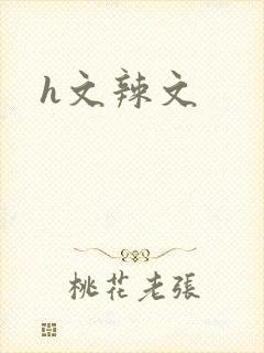 h文辣文封面