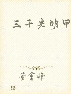 三千光明甲