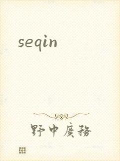 seqin封面