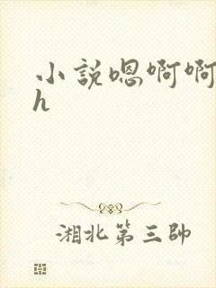 小说嗯啊啊唔高h