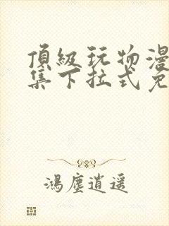 顶级玩物漫画全集下拉式免费观看