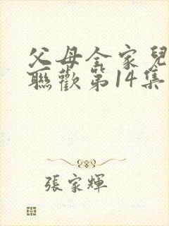 父母全家儿女大联欢第14集封面