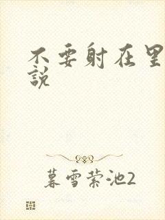 不要射在里面小说封面