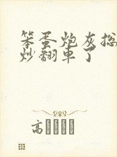 笨蛋炮灰总被爆炒翻车了