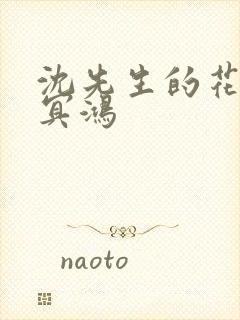 沈先生的花式调冥鸿