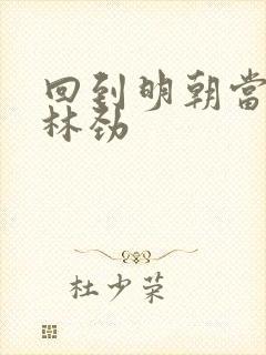 回到明朝当王爷林劲