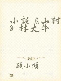 小说《山村情事》林大牛封面