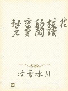 秘密的校花小说免费阅读