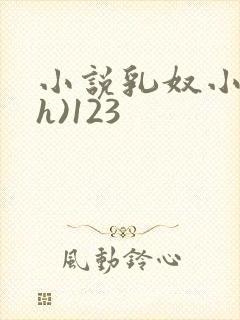 小说乳奴小小(h)123