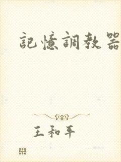 记忆调教器封面