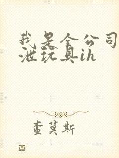 我是全公司的发泄玩具ih