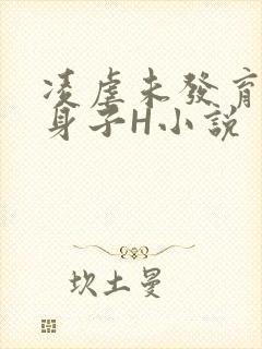凌虐未发育的小身子H小说