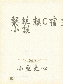 系统想C宿主的小说