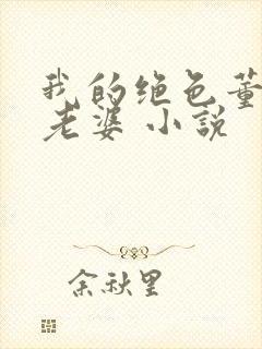 我的绝色董事长老婆 小说