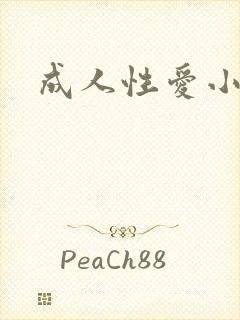 成人性爱小说封面