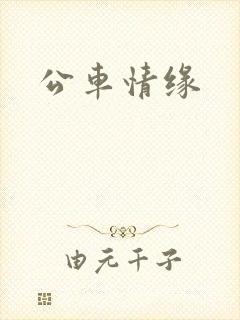公车情缘