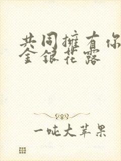 共同拥有你by金银花露封面