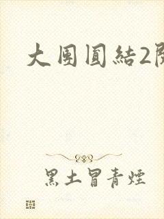 大团圆结2阅读