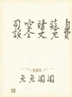 司空靖苏月汐小说全文免费阅读