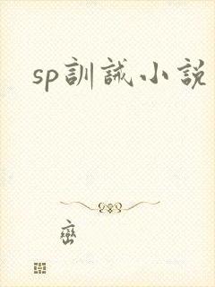 sp训诫小说