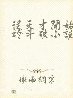 从天才开始无敌于斗破小说在线阅读